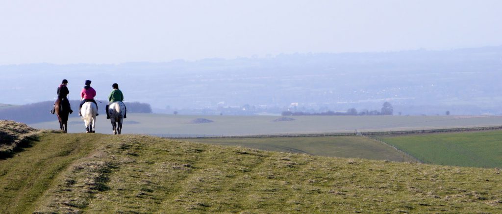 Trois personnes de dos qui font de la randonnée à cheval à la campagne