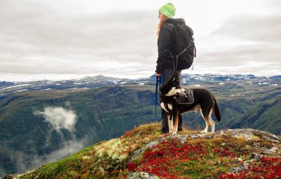 randonner avec son chien