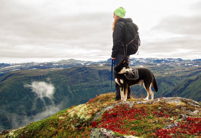 randonner avec son chien